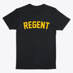 Regent North Dakota Classic Curve Premium T-Shirt