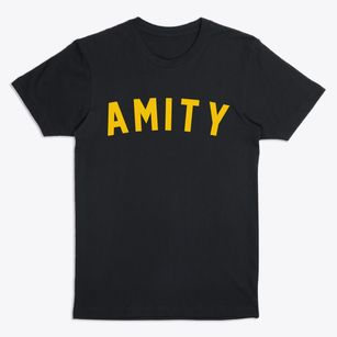 Amity Missouri Classic Curve Premium T-Shirt