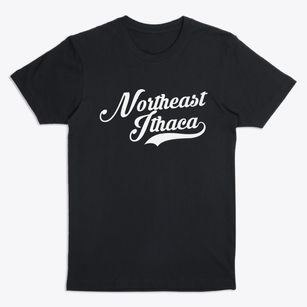 Northeast Ithaca New York Vintage Team Premium T-Shirt