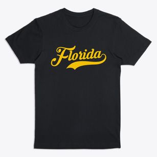 Florida New York Vintage Team Premium T-Shirt