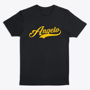 Angelo Wisconsin Vintage Team Premium T-Shirt