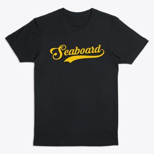 Seaboard North Carolina Vintage Team Premium T-Shirt