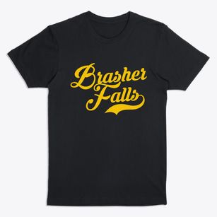 Brasher Falls New York Vintage Team Premium T-Shirt