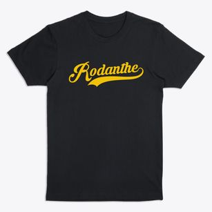 Rodanthe North Carolina Vintage Team Premium T-Shirt