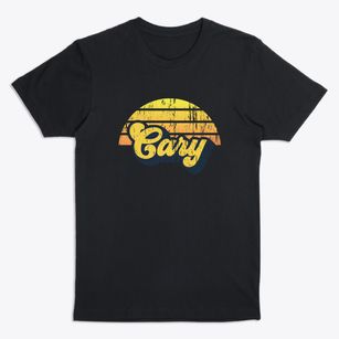 Cary Illinois Sublime Sunset Premium T-Shirt
