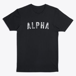 Alpha Illinois Timeless Retro Premium T-Shirt
