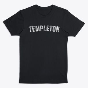 Templeton Virginia Timeless Retro Premium T-Shirt