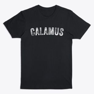 Calamus Iowa Timeless Retro Premium T-Shirt