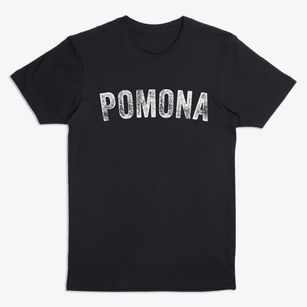 Pomona Missouri Timeless Retro Premium T-Shirt