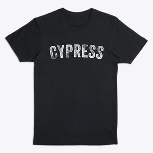 Cypress Illinois Timeless Retro Premium T-Shirt