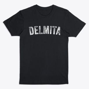 Delmita Texas Timeless Retro Premium T-Shirt