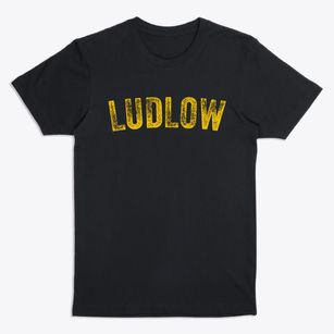 Ludlow Vermont Timeless Retro Premium T-Shirt