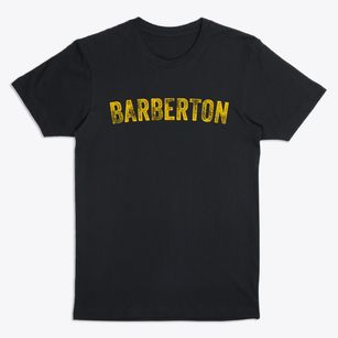 Barberton Ohio Timeless Retro Premium T-Shirt