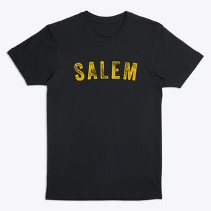 Salem Virginia Timeless Retro Premium T-Shirt