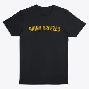 Briny Breezes Florida Timeless Retro Premium T-Shirt