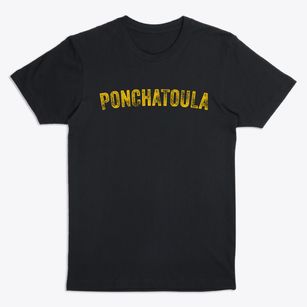 Ponchatoula Louisiana Timeless Retro Premium T-Shirt