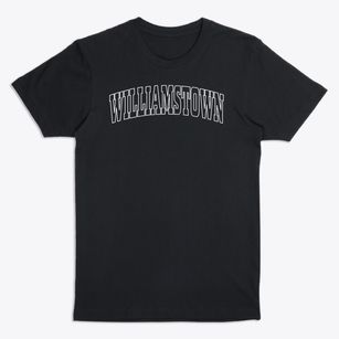 Williamstown Massachusetts Trendy Block Premium T-Shirt