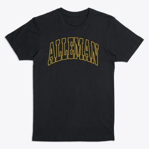 Alleman Iowa Trendy Block Premium T-Shirt