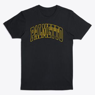 Palmetto Louisiana Trendy Block Premium T-Shirt