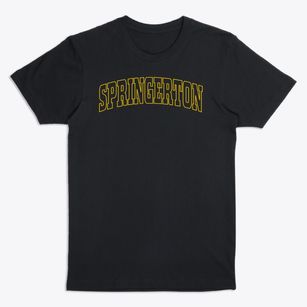 Springerton Illinois Trendy Block Premium T-Shirt