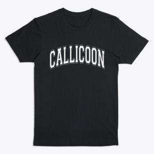 Callicoon New York Varsity Premium T-Shirt