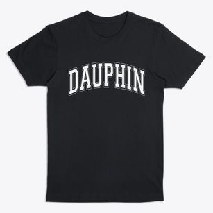 Dauphin Pennsylvania Varsity Premium T-Shirt