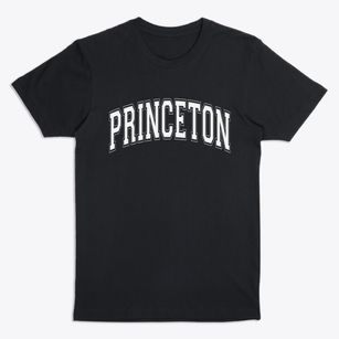 Princeton Illinois Varsity Premium T-Shirt