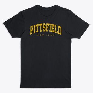 Pittsfield New York Urban Vibe Premium T-Shirt