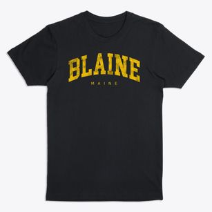 Blaine Maine Urban Vibe Premium T-Shirt