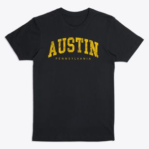 Austin Pennsylvania Urban Vibe Premium T-Shirt