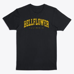 Bellflower Illinois Urban Vibe Premium T-Shirt