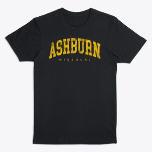Ashburn Missouri Urban Vibe Premium T-Shirt