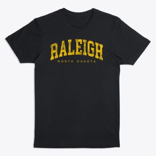 Raleigh North Dakota Urban Vibe Premium T-Shirt