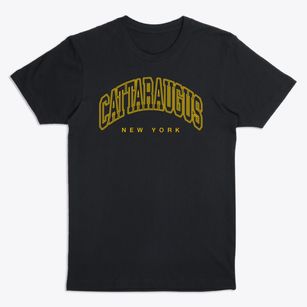 Cattaraugus New York Inline Premium T-Shirt