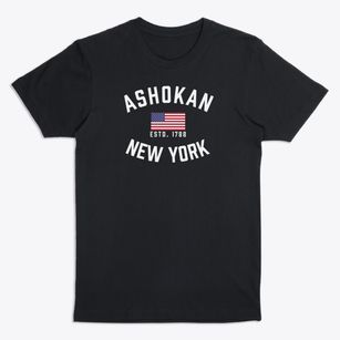 Ashokan New York Patriot Premium T-Shirt