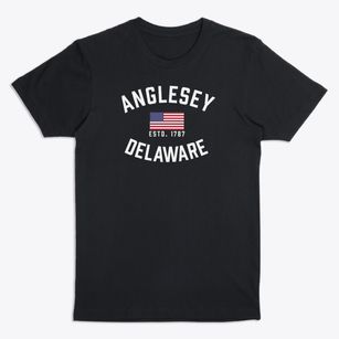 Anglesey Delaware Patriot Premium T-Shirt