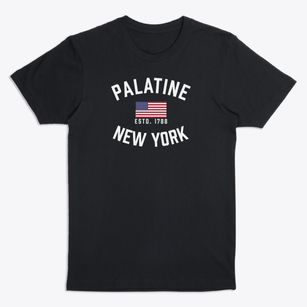 Palatine New York Patriot Premium T-Shirt
