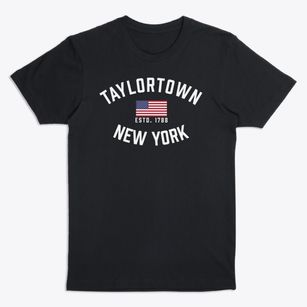 Taylortown New York Patriot Premium T-Shirt