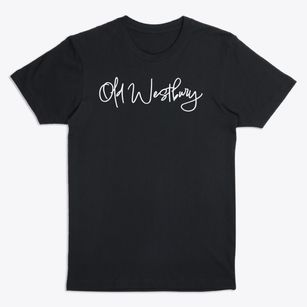 Old Westbury New York Freestyle Premium T-Shirt