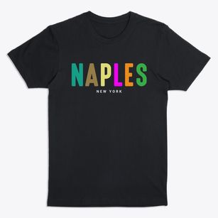 Naples New York Color Pop Premium T-Shirt