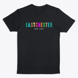 Eastchester New York Color Pop Premium T-Shirt