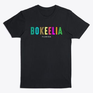 Bokeelia Florida Color Pop Premium T-Shirt
