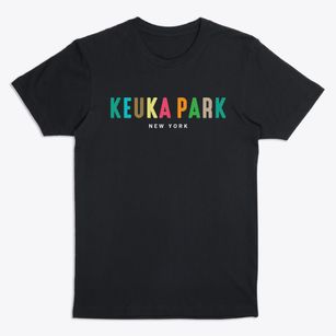 Keuka Park New York Color Pop Premium T-Shirt