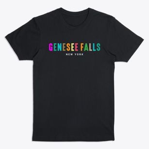 Genesee Falls New York Color Pop Premium T-Shirt