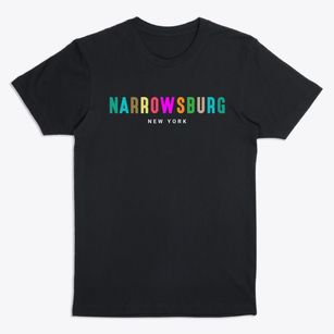 Narrowsburg New York Color Pop Premium T-Shirt