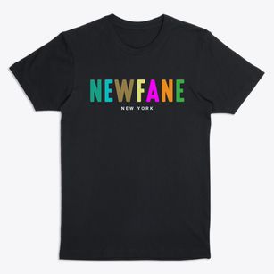 Newfane New York Color Pop Premium T-Shirt