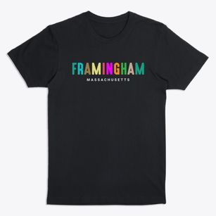 Framingham Massachusetts Color Pop Premium T-Shirt