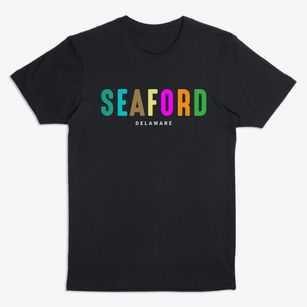 Seaford Delaware Color Pop Premium T-Shirt
