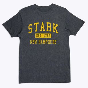 Stark New Hampshire Classic Established Premium T-Shirt