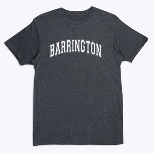 Barrington Elementary School Varsity Arch Premium T-Shirt